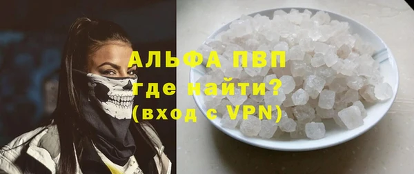 сатива Арсеньев