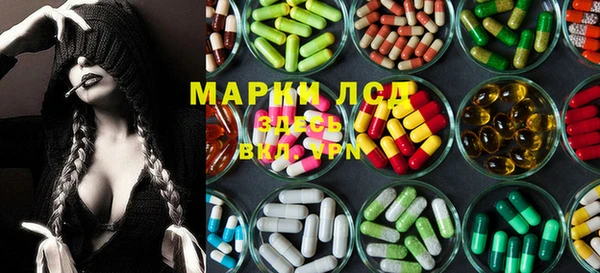 сатива Арсеньев