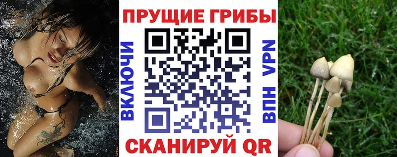 Галлюциногенные грибы GOLDEN TEACHER  OMG tor  Малая Вишера 